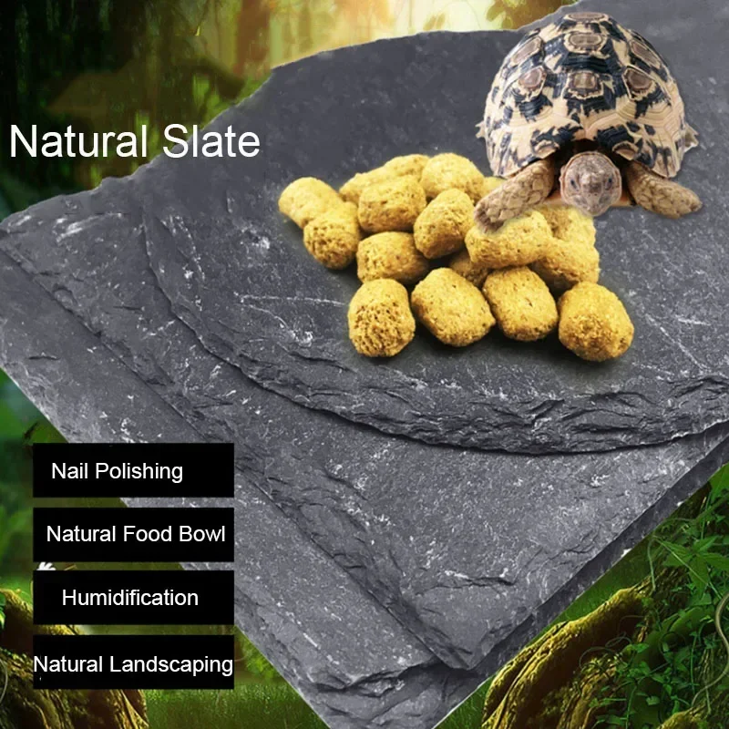 Aquarium Fish Price - Natural Slate Aquarium Pet rettile Feeder