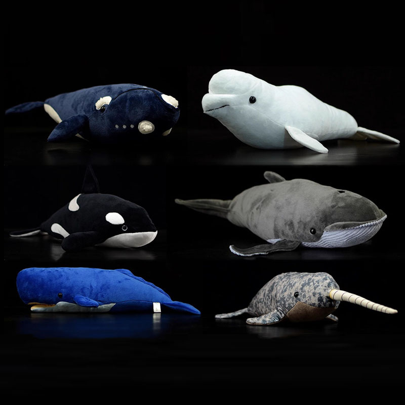 Wild Aquarium Fish - Simulato Animale Killer Baleen Sperme Bianco