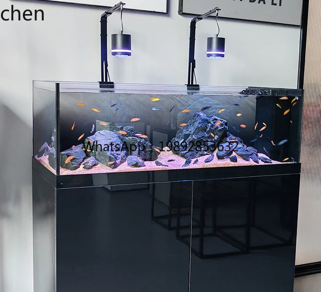 Wild Aquarium Fish - Stream Tank Native Wild Collection Acquario