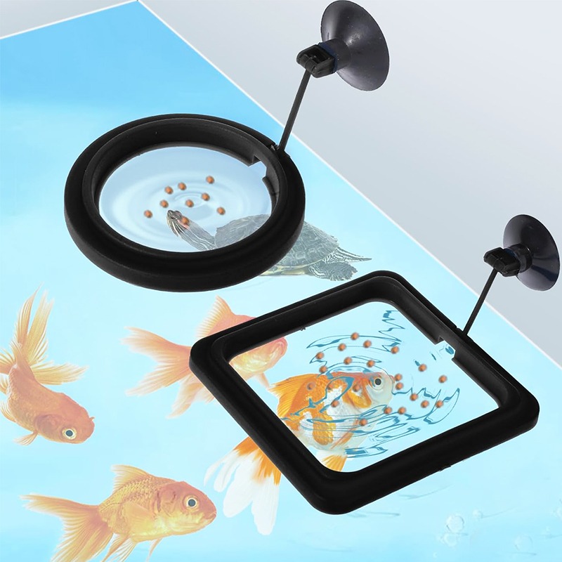 Aquarium Fish Price - Anello Galleggiante per Alimentazione Pesci Acquario,