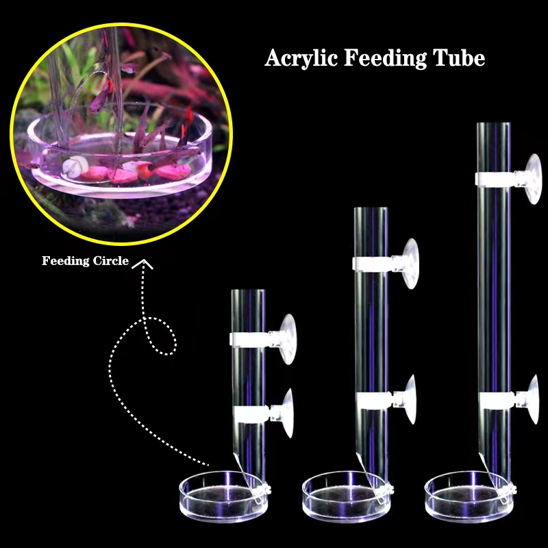 Aquarium Fish Price - 1 pz in acrilico acquario tubo