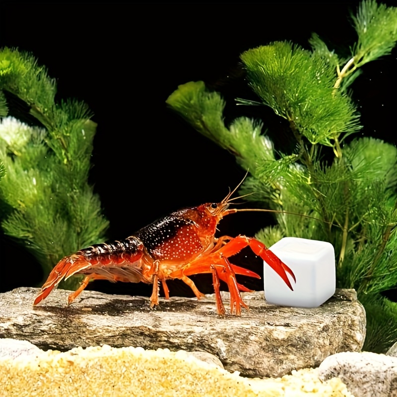 Aquarium Fish Lego - 6 pezzi acquario calcio blocco minerali