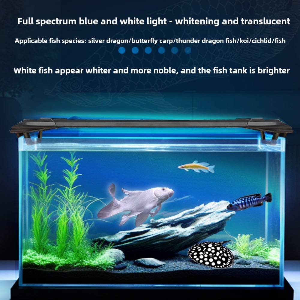 Barra luminosa a LED per acqua - Aquarium Fish Parrot recensione e prezzo