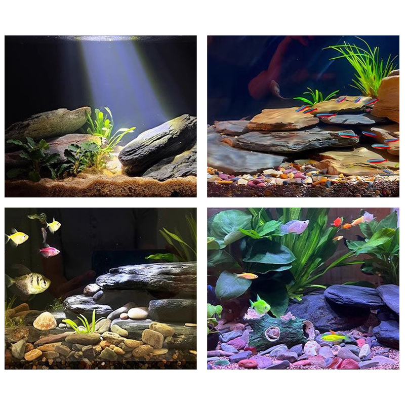 Kit di Pietre per Acquario 500 - Aquarium Fish House recensione e prezzo