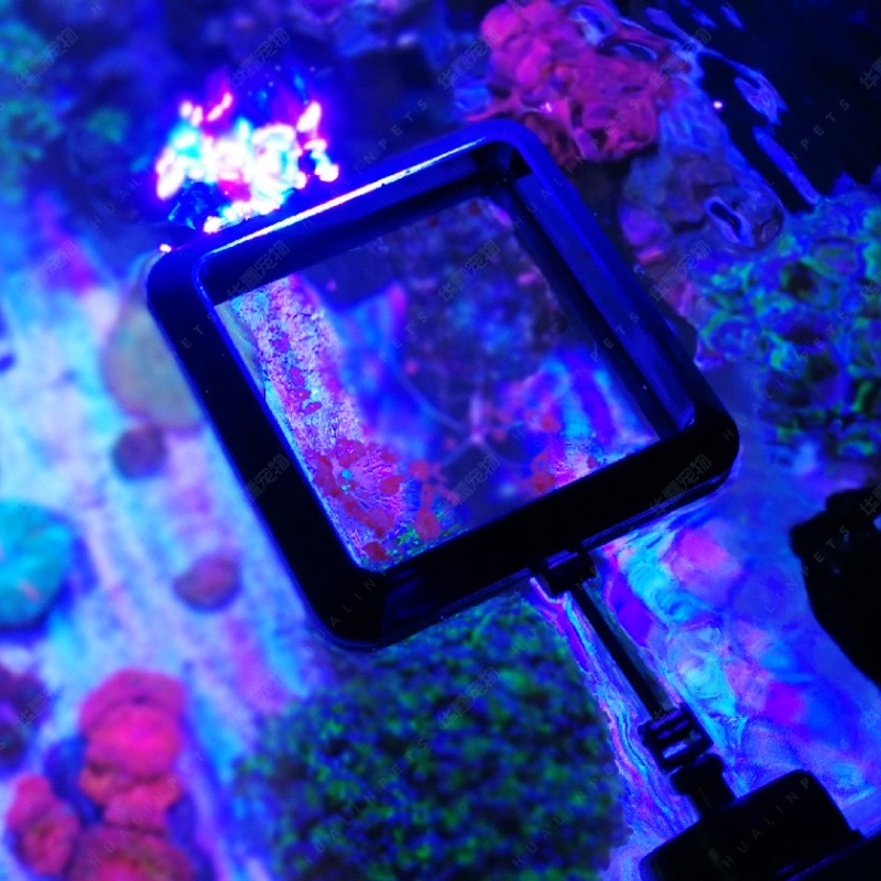 VASTOCEAN Anello di Alimentazi - Aquarium Fish Price recensione e prezzo