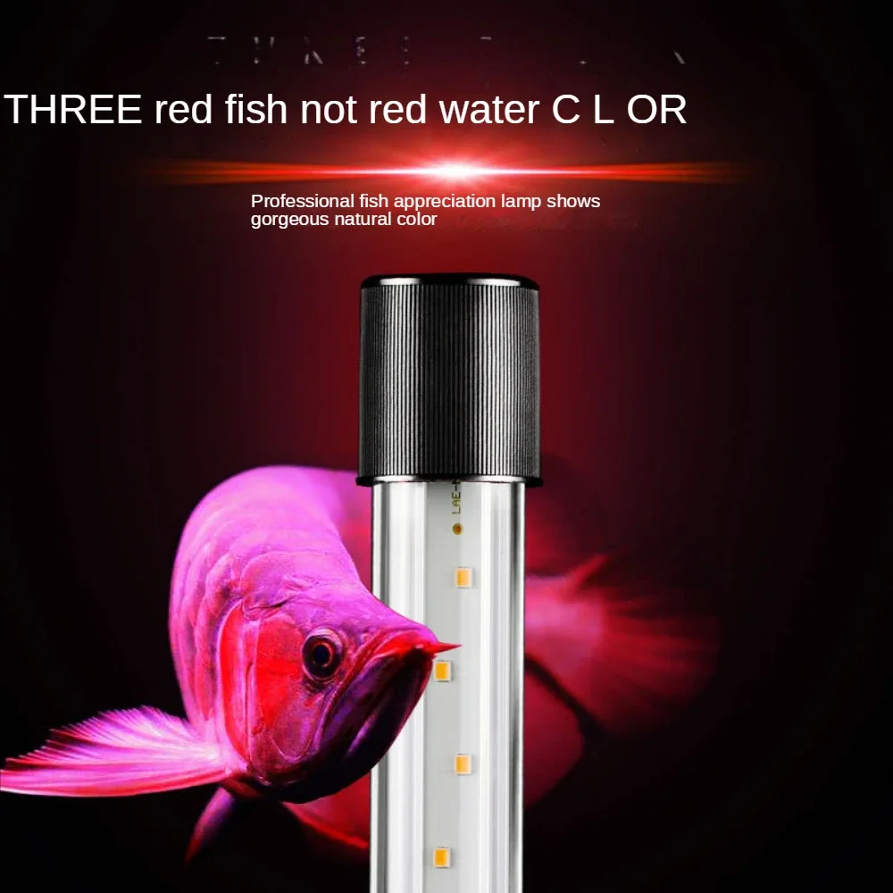 Lampada da paesaggio per acqua - Aquarium Fish Parrot recensione e prezzo