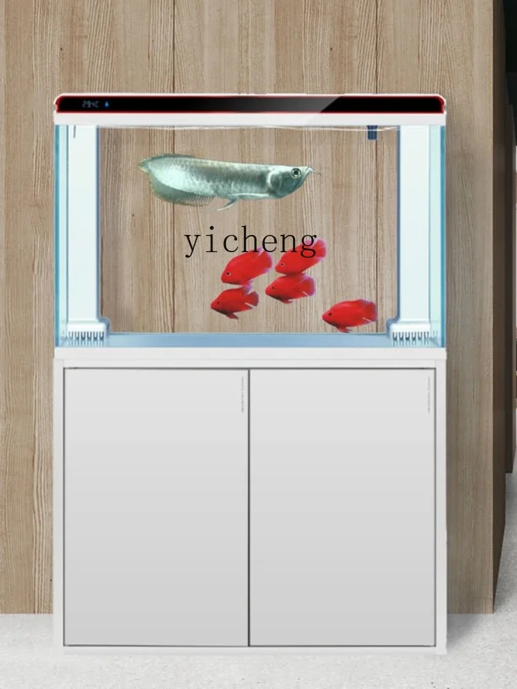 Acquario X-24 Super White Glas - Xchange Aquarium Fish recensione e prezzo