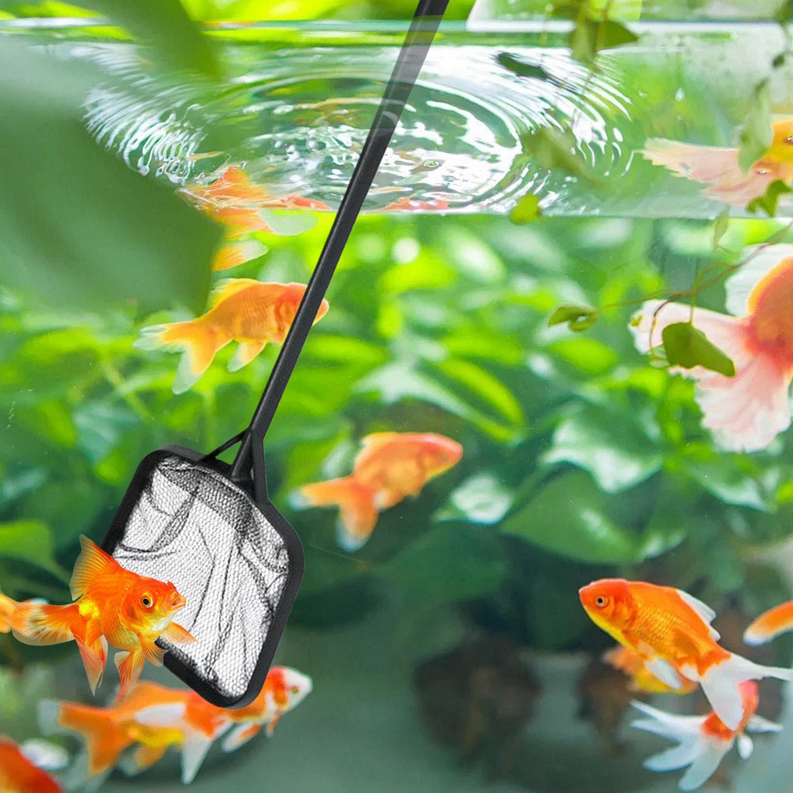 Reti per la Pulizia della Pisc - Aquarium Fish House recensione e prezzo
