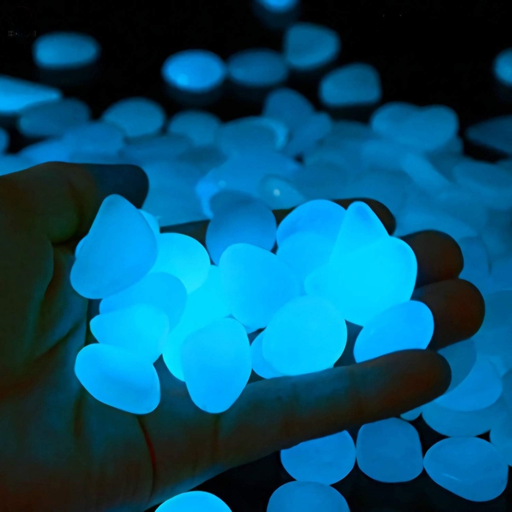 Pietre da giardino per interni - Aquarium Fish Glow In The Dark recensione e prezzo