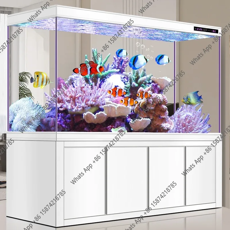 Acquario X Arowana in vetro ul - Xchange Aquarium Fish recensione e prezzo