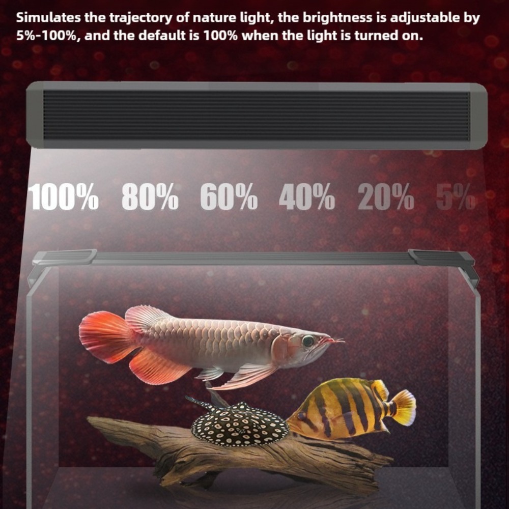 Luce LED per Acquario, Illumin - Aquarium Fish Parrot recensione e prezzo