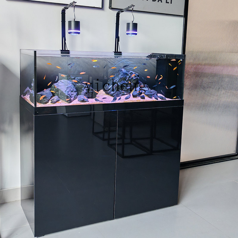 U1 serbatoio di flusso selvati - Wild Aquarium Fish recensione e prezzo