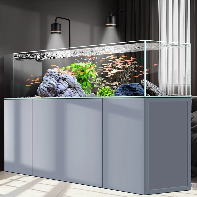 Acquario domestico di medie e  - Wild Aquarium Fish recensione e prezzo