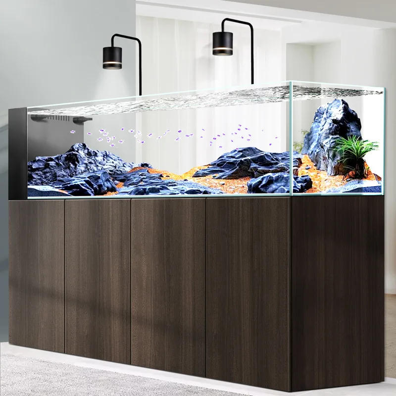 Acquario domestico di medie e  - Wild Aquarium Fish recensione e prezzo