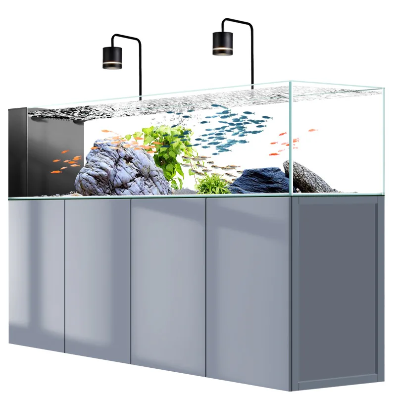 Acquario domestico di medie e  - Wild Aquarium Fish recensione e prezzo