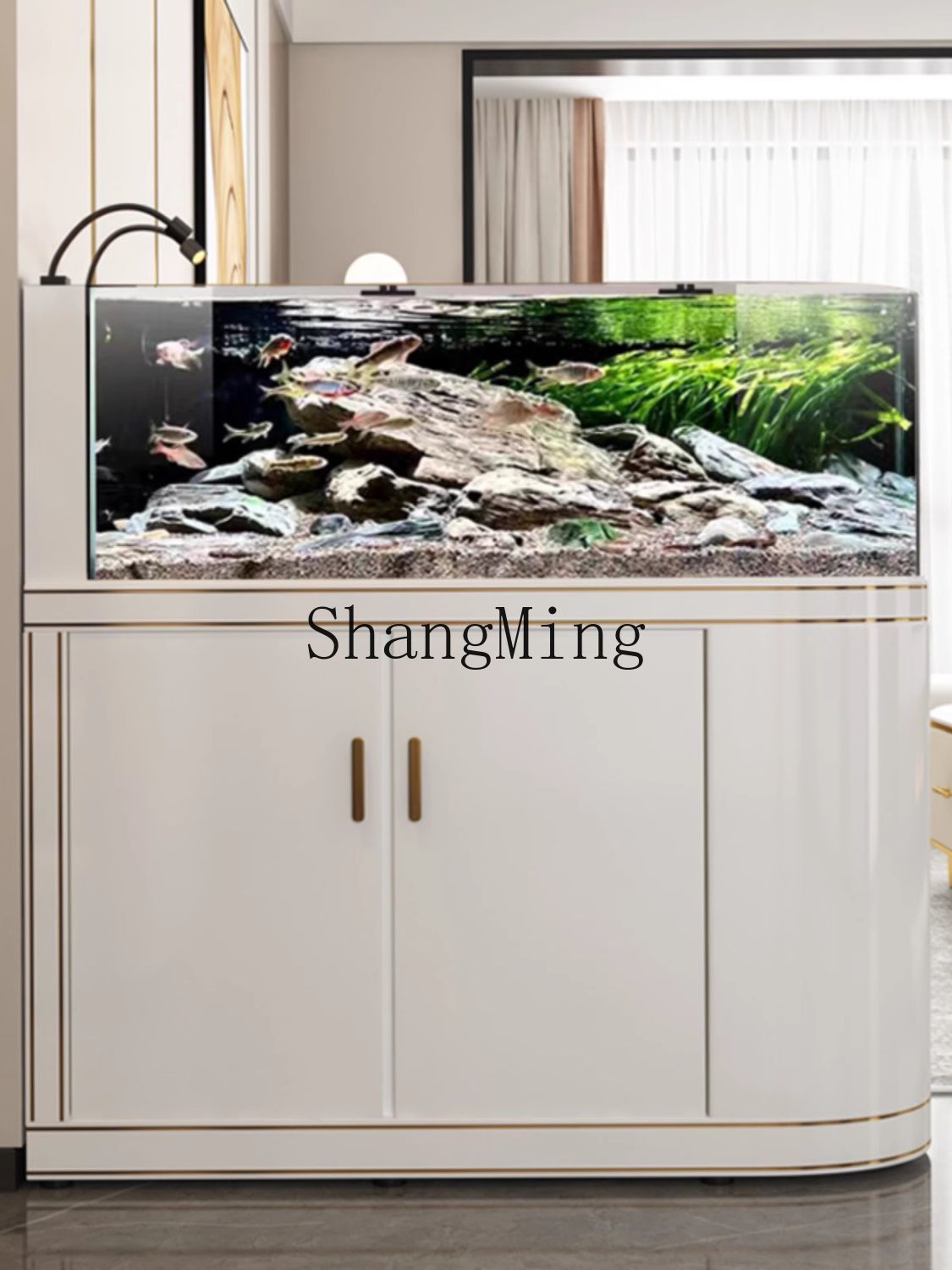 Acquario FG di Lusso con Scher - Wild Aquarium Fish recensione e prezzo