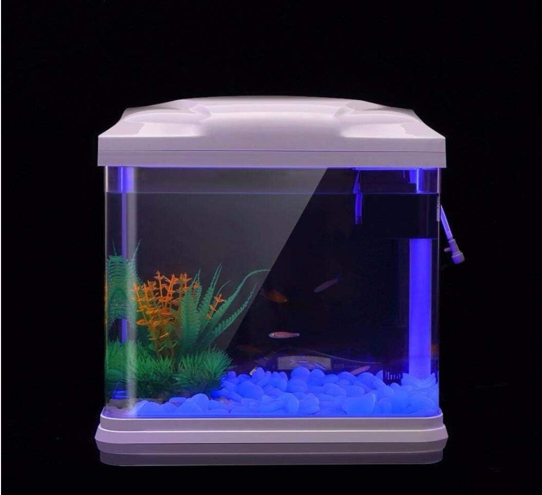 Rocce per acquari che si illum - Aquarium Fish House recensione e prezzo