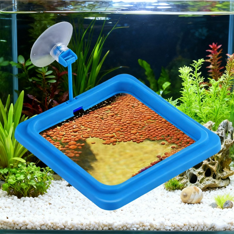 Anello Galleggiante per Alimen - Aquarium Fish Price recensione e prezzo