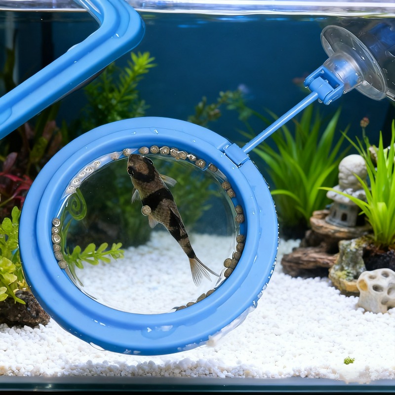 Anello Galleggiante per Alimen - Aquarium Fish Price recensione e prezzo