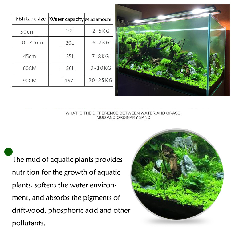Acquario semi di piante terren - Aquarium Fish Price recensione e prezzo