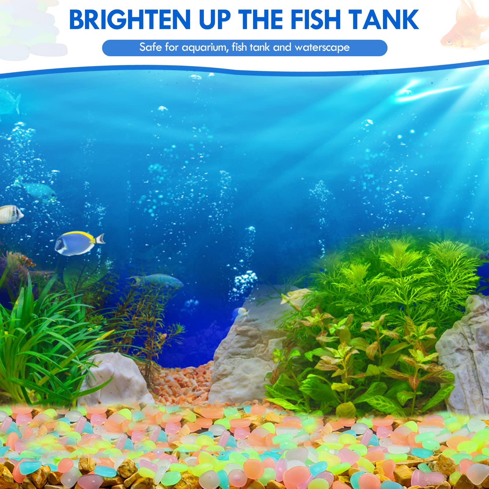100 pezzi che si illuminano al - Aquarium Fish House recensione e prezzo