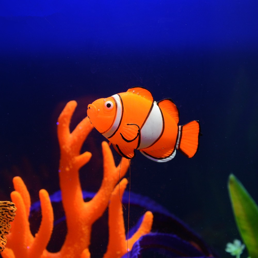 Decorazione Luminosa in Silico - Aquarium Fish Glow In The Dark recensione e prezzo