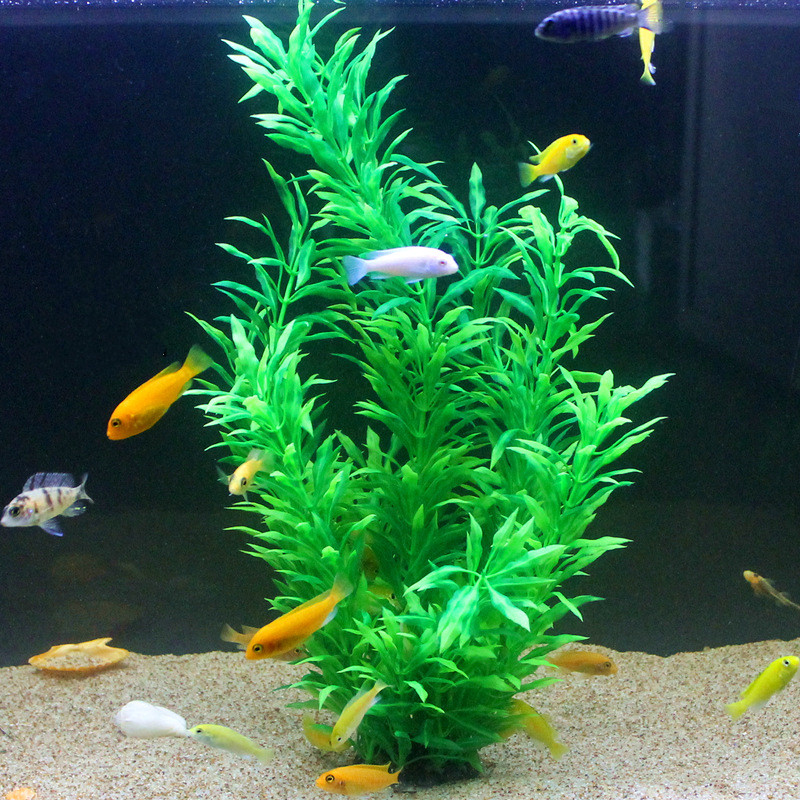 50CM Acquario artificiale Pian - Aquarium Fish House recensione e prezzo