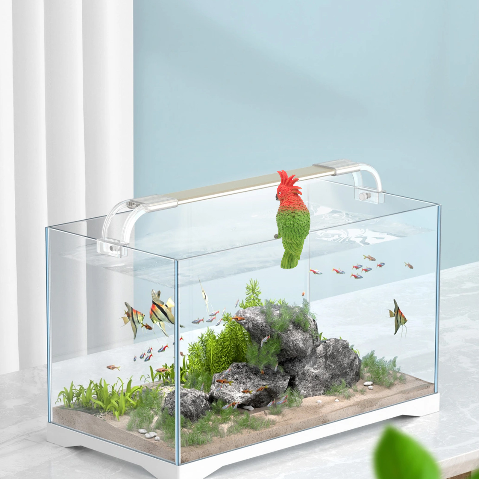 Mini Acquario per Pappagalli d - Aquarium Fish Parrot recensione e prezzo