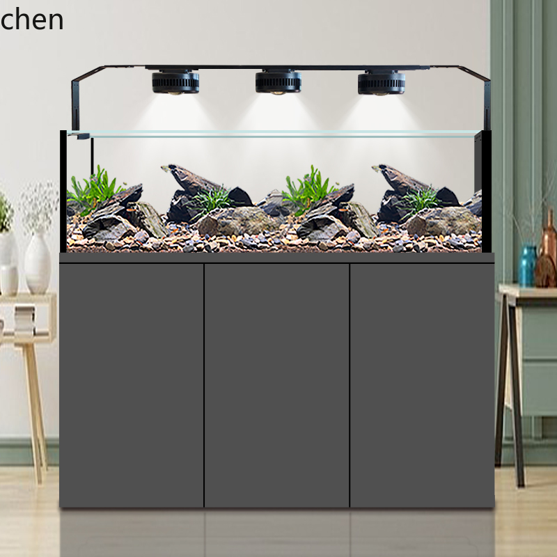 CZ Fish Tank Native Wild Colle - Wild Aquarium Fish recensione e prezzo