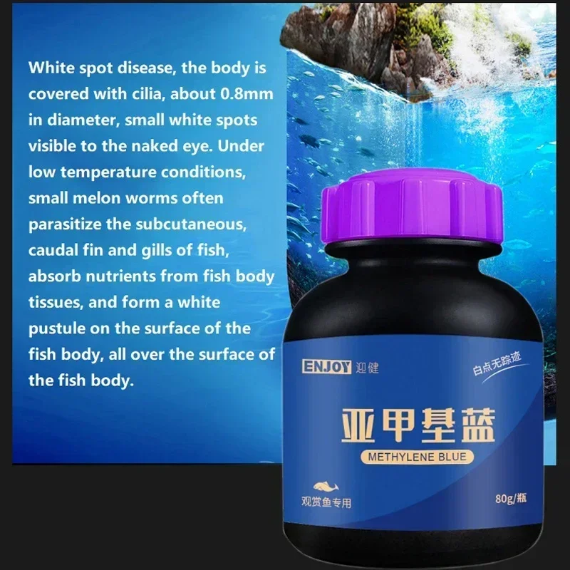 Metilene Pesce ornamentale blu - Aquarium Fish Parrot recensione e prezzo