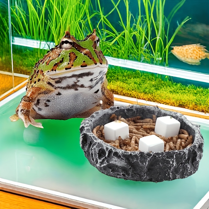 6 pezzi acquario calcio blocco - Aquarium Fish Lego recensione e prezzo