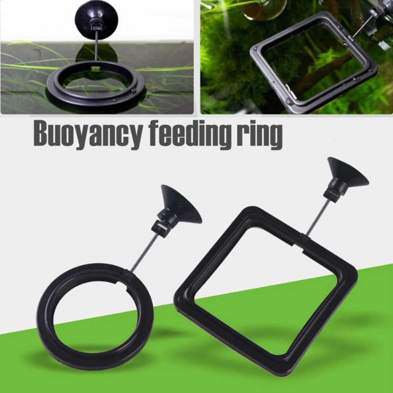 Anello Galleggiante per Alimen - Aquarium Fish Price recensione e prezzo